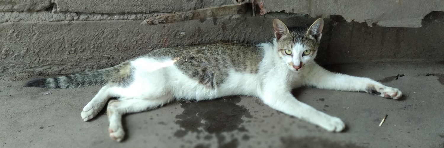 SUMAN CHAKRABORTY banner