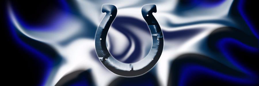 TTV BigKusch banner