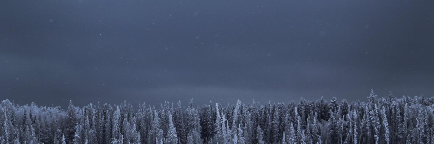 NylaBurnside's profile banner image