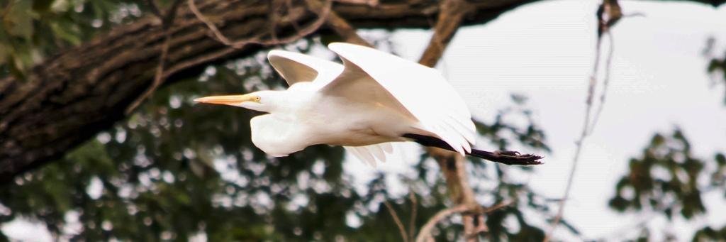 TMSphotos's profile banner image