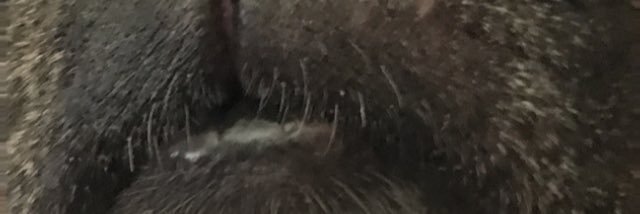 BENS_CJ7's profile banner image