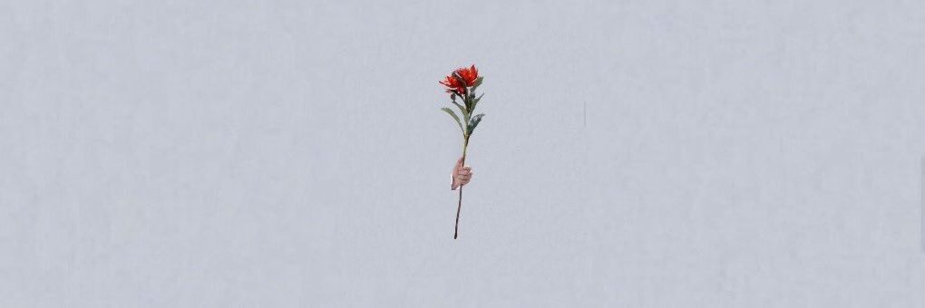 kpopsseuregi's profile banner image