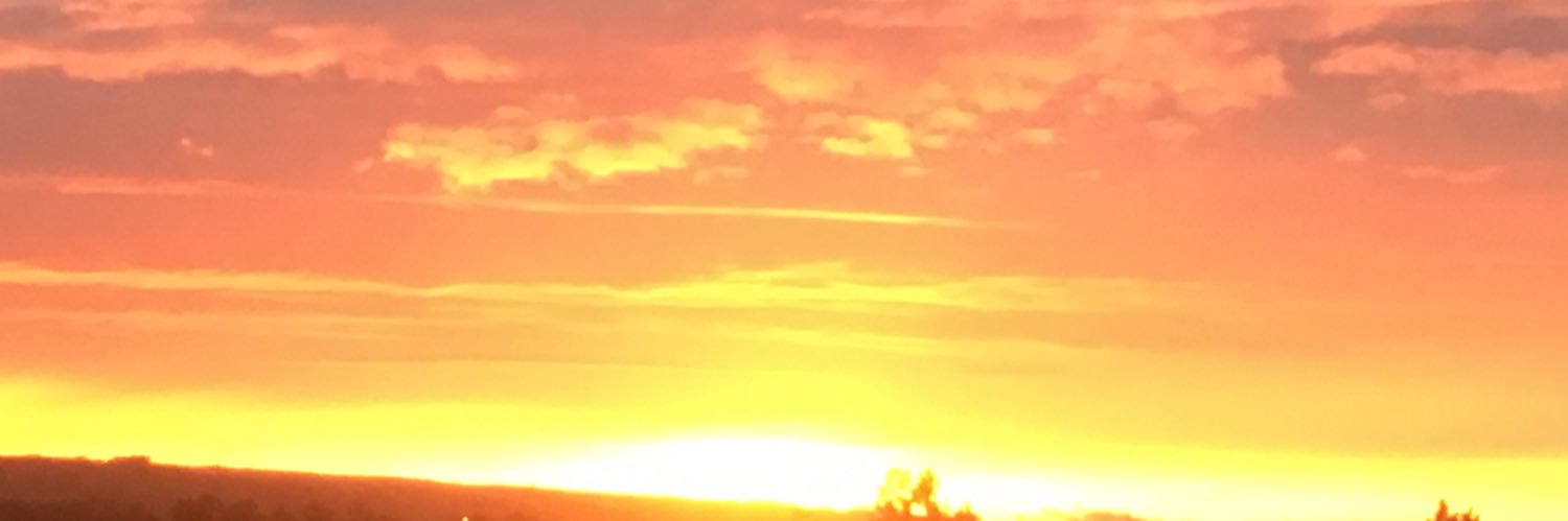 MenziesW's profile banner image