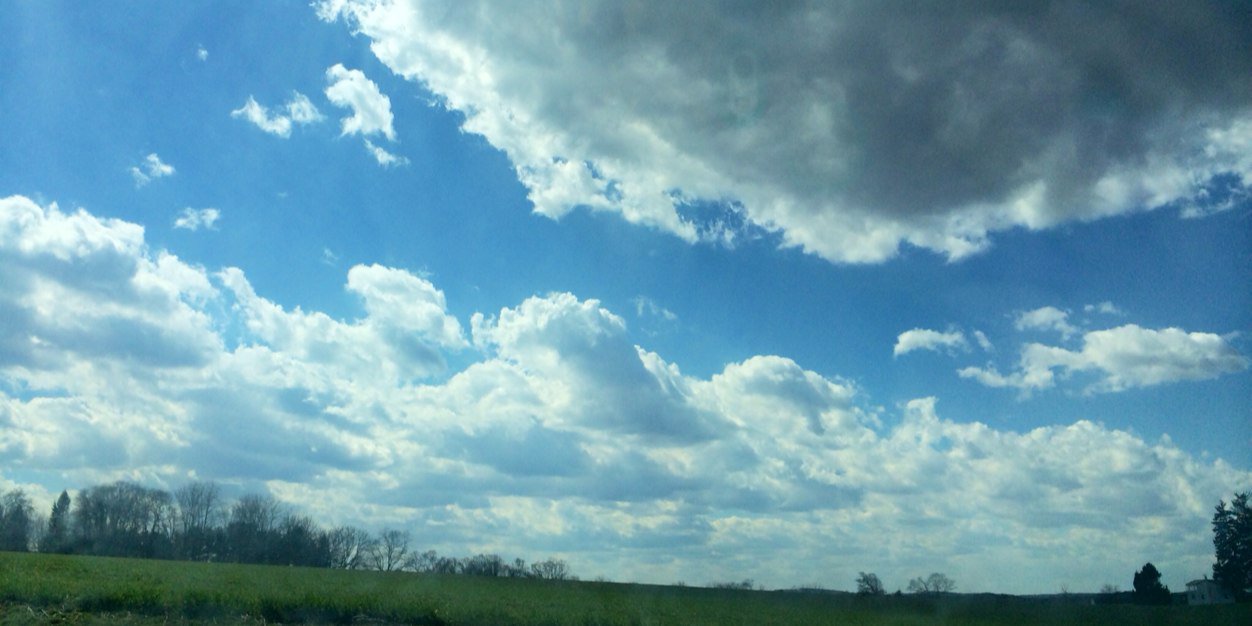 DINAsaur_271's profile banner image