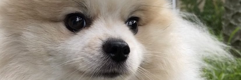 aboutcriis's profile banner image