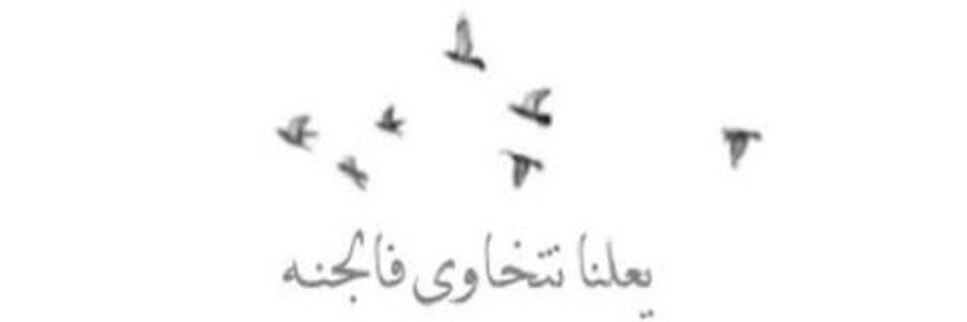 nourh_alameri's profile banner image