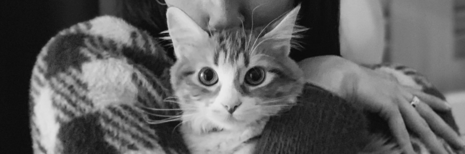 frankuu's profile banner image