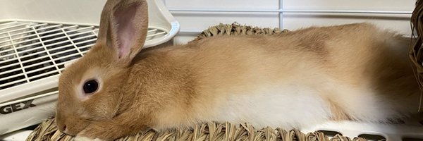 jagityann2nd Profile Banner