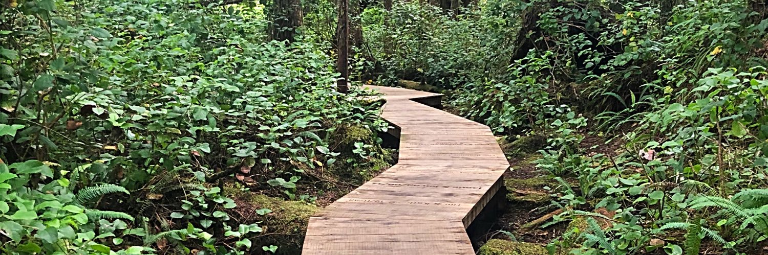 Erin S. Biddlecombe (she/her) banner