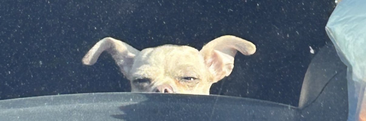 DuqueGual's profile banner image