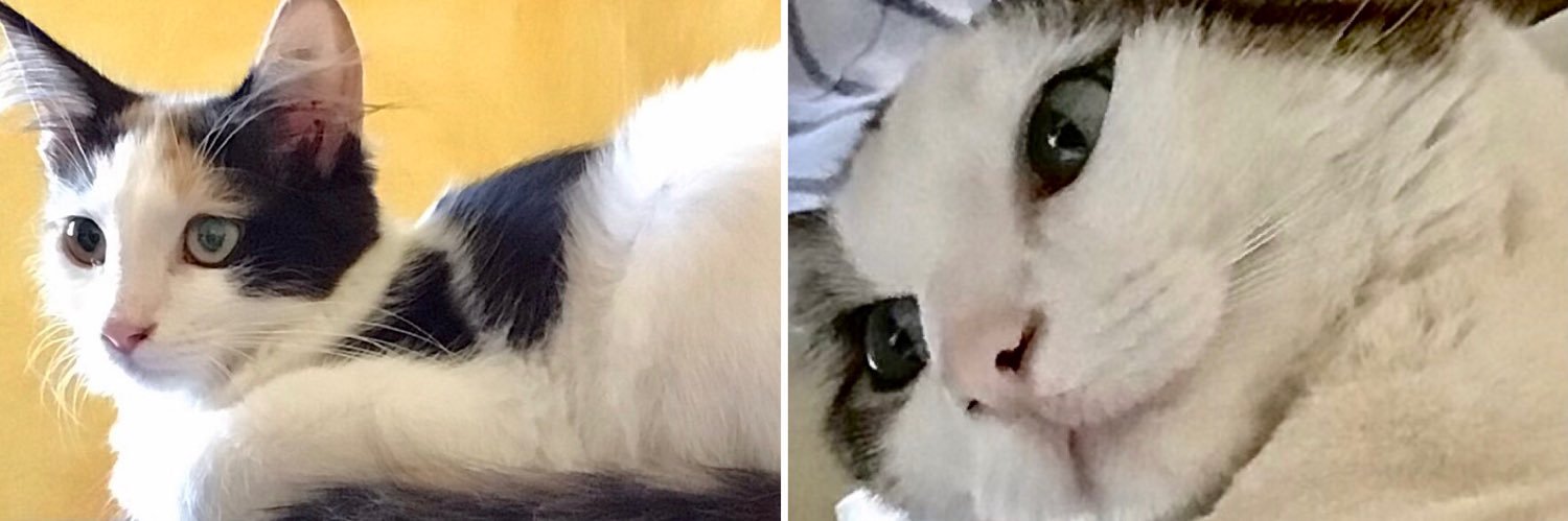 EmmeEmme123's profile banner image