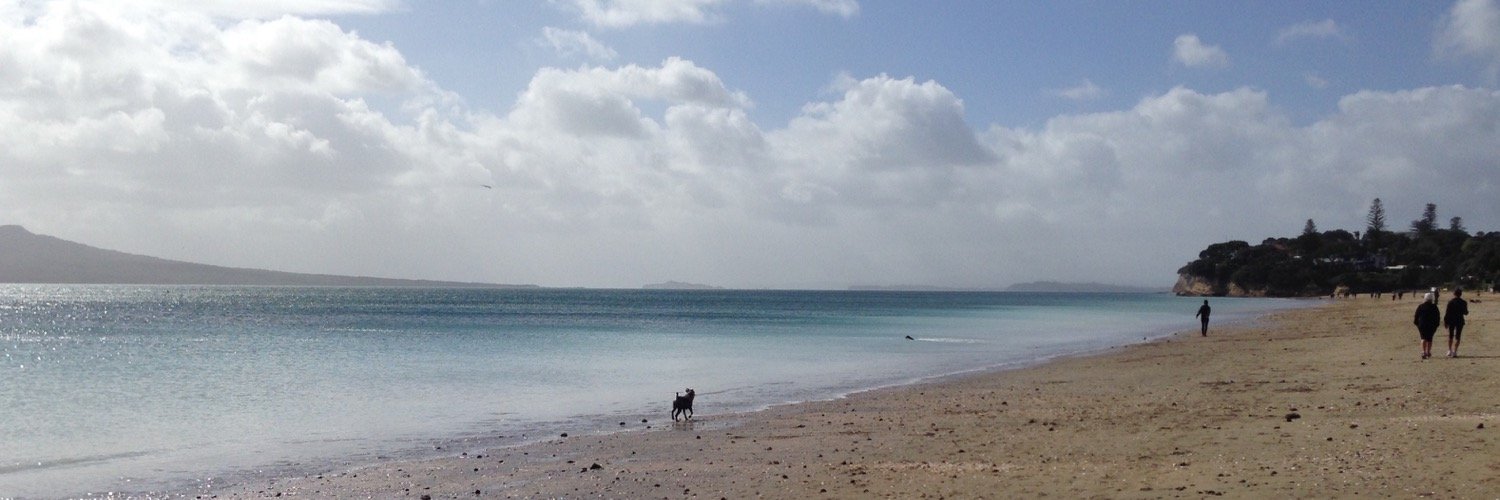 mands_nz's profile banner image