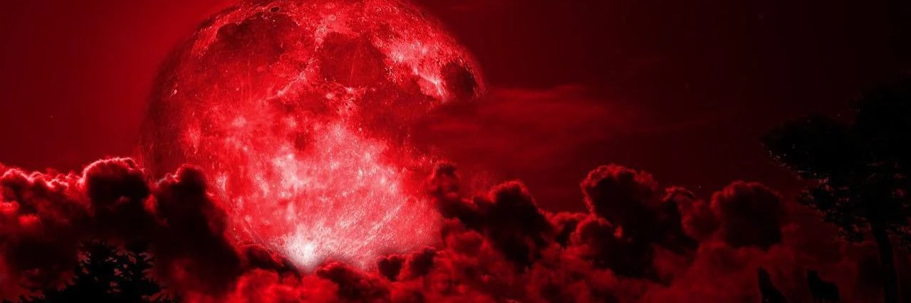 holisticmuva_'s profile banner image