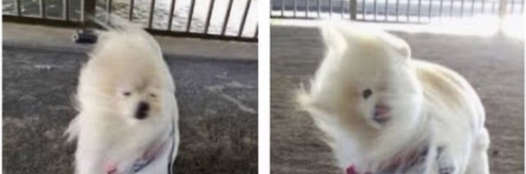 m____kun0's profile banner image