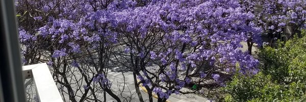 lu_delgadillo Profile Banner