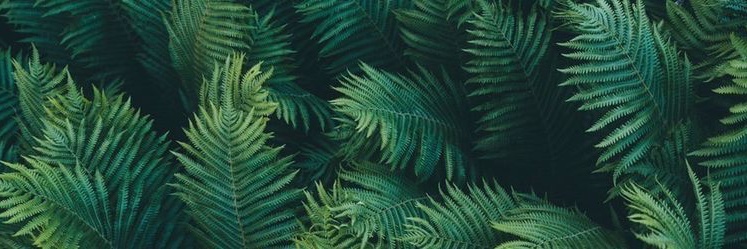 dobrova_l's profile banner image