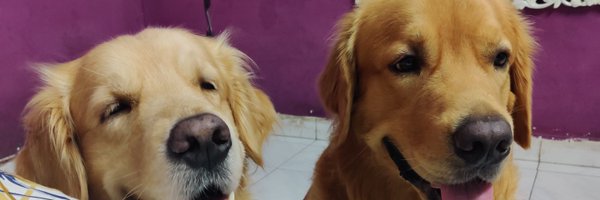 CoreenaSuares2 Profile Banner