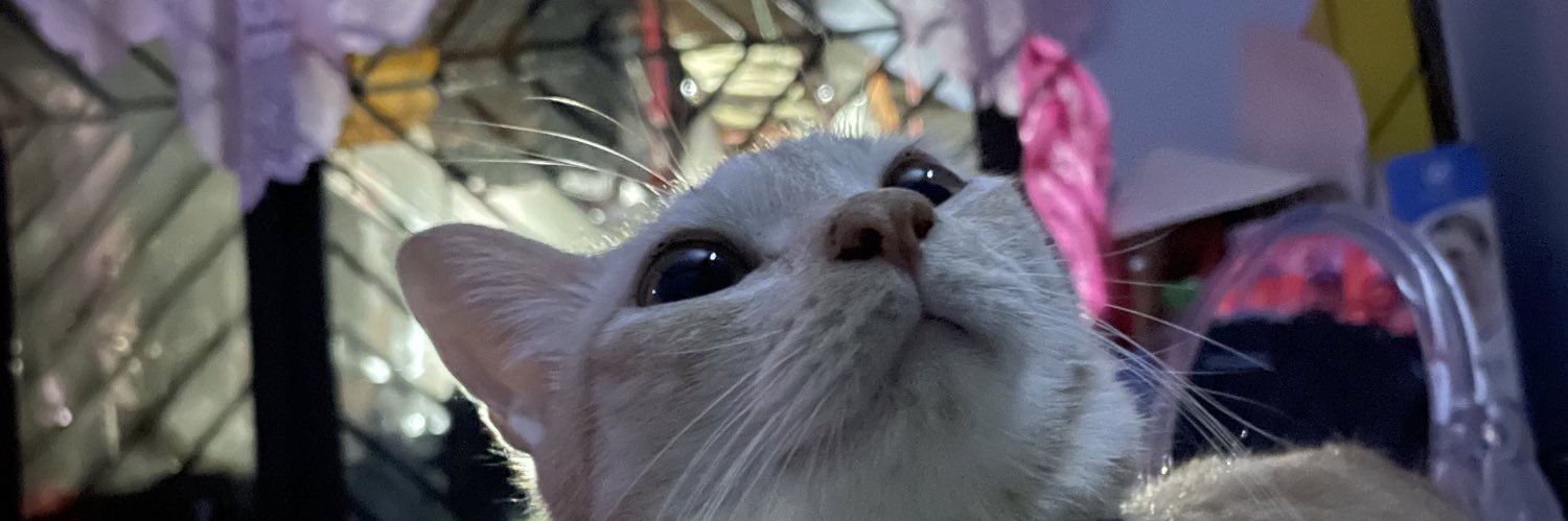 MaanSnaafuu's profile banner image