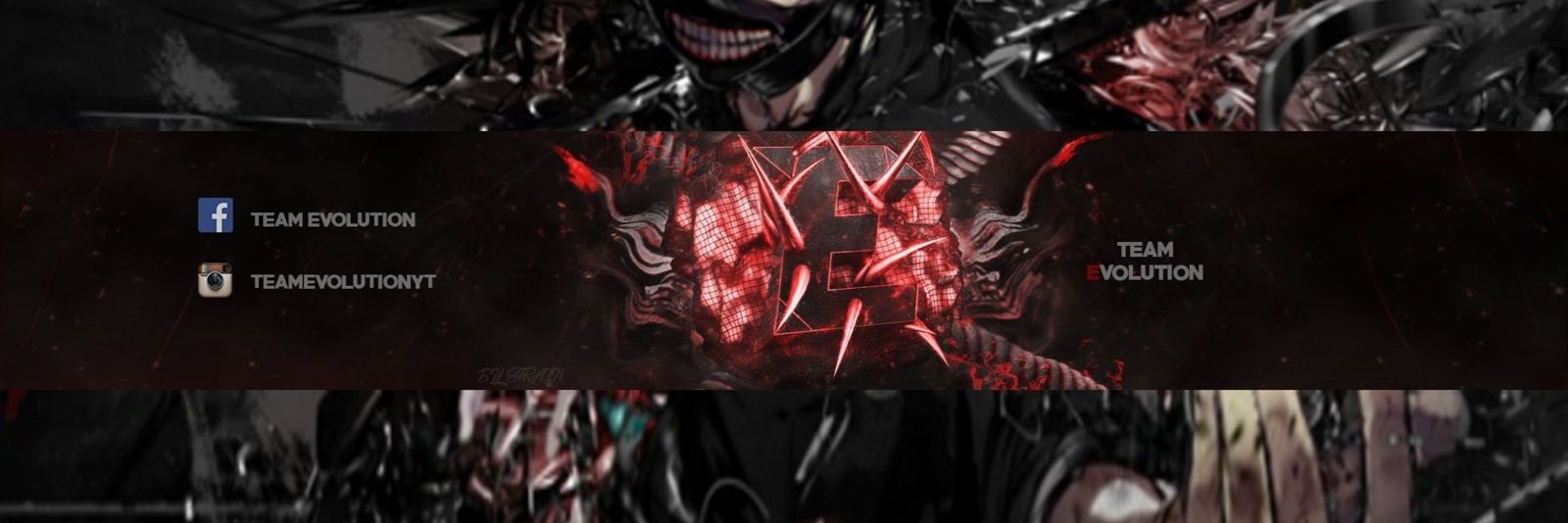Team Evolution banner