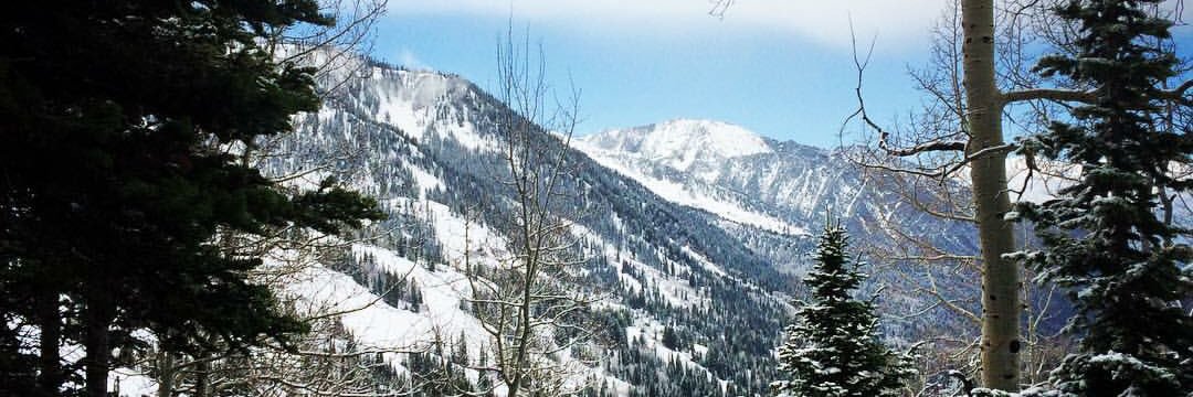 Devrin Carlson-Smith banner