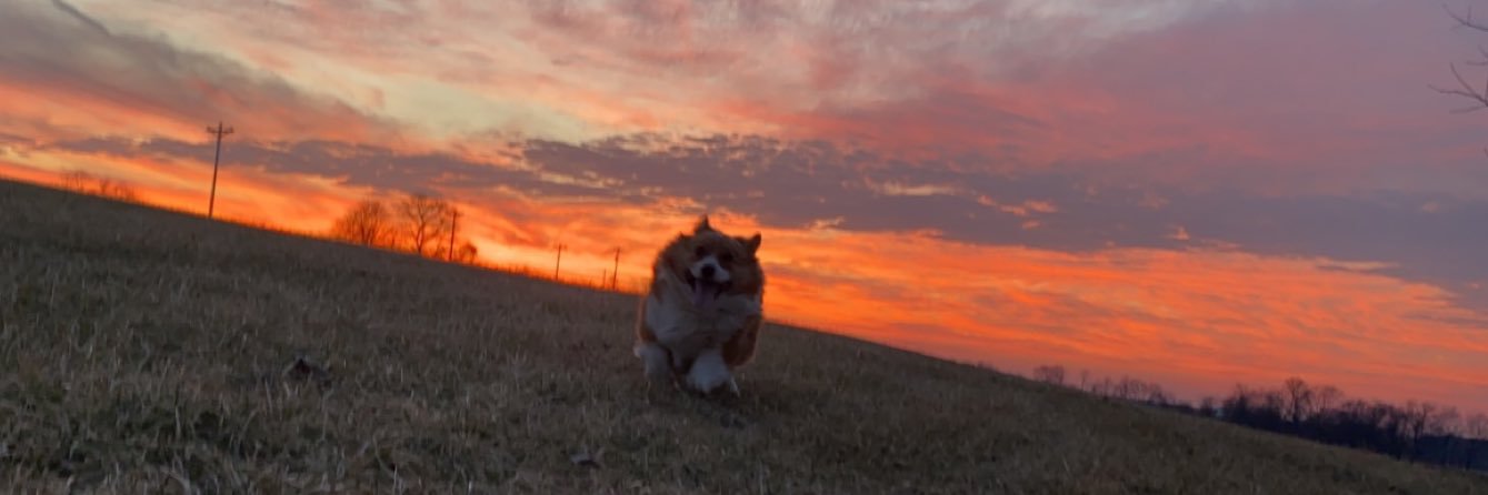 Kassidyt28's profile banner image