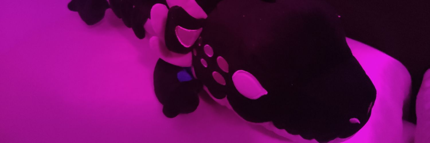 13katvers's profile banner image