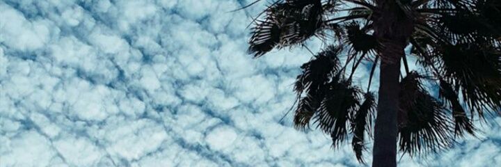 lizbetharms's profile banner image