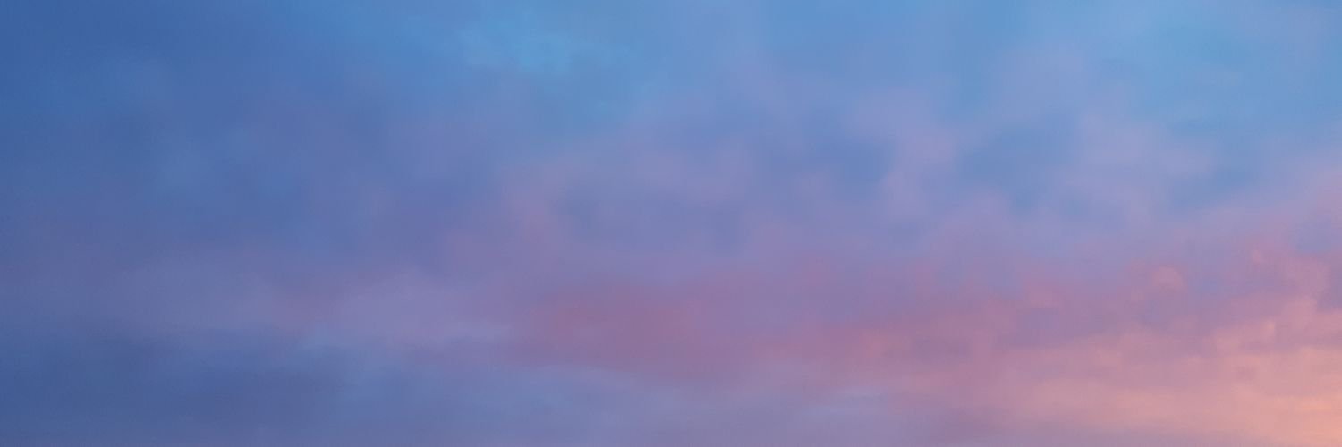 AshleyAllisonB's profile banner image
