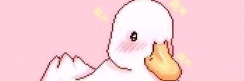 kapibara hogo banner