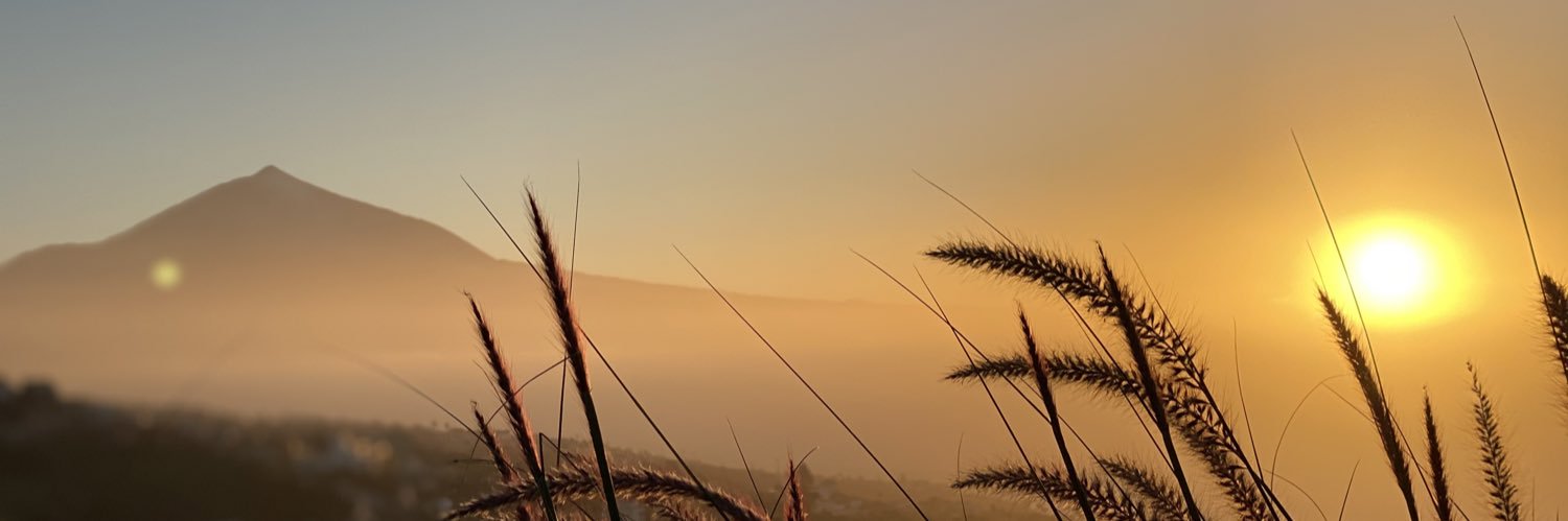 LauraaPaint's profile banner image