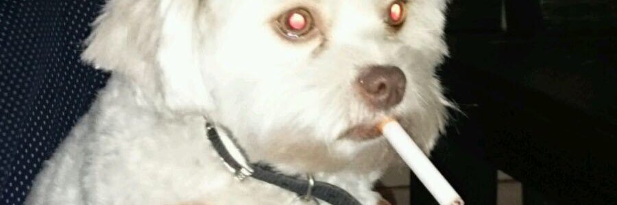 DylanLKyle's profile banner image