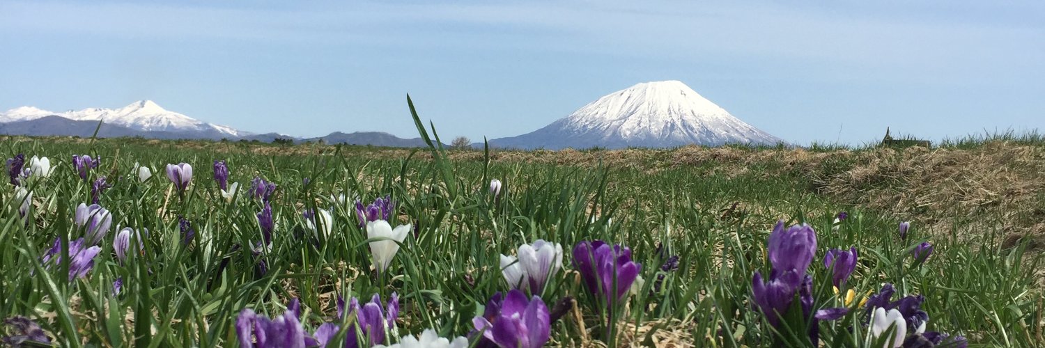 ノンタン banner