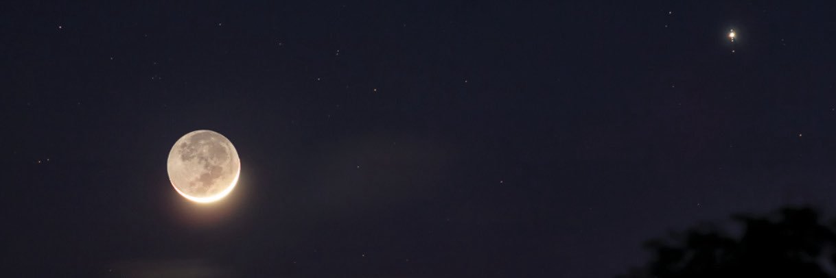 evelynlyyn's profile banner image