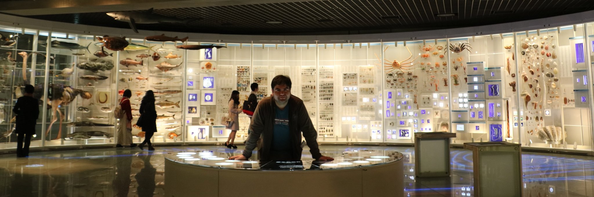 pablomalhue's profile banner image