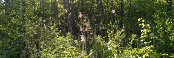 anne_kervers Profile Banner