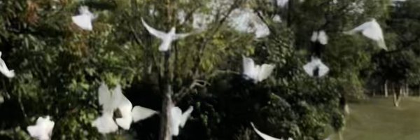 _rsk910 Profile Banner