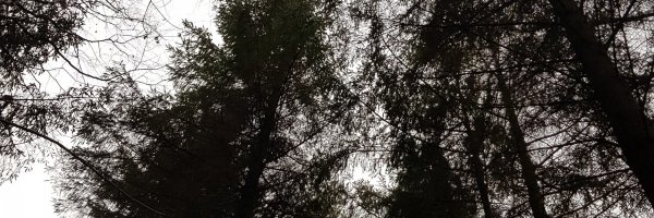 amhuss27 Profile Banner