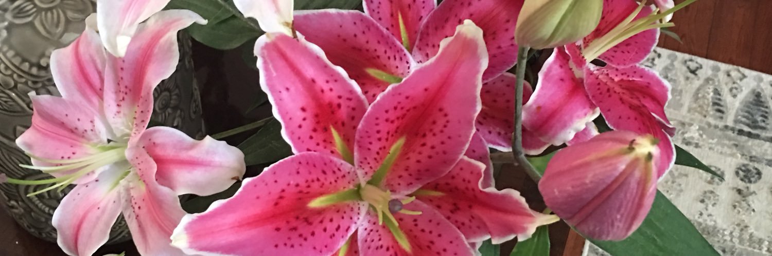 MichaelaBedell's profile banner image