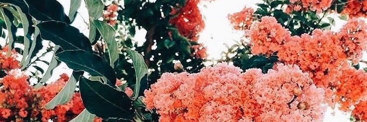 _Knwva's profile banner image