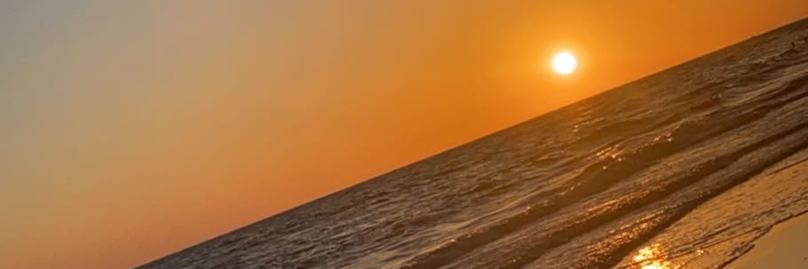 ThrashCassandre's profile banner image