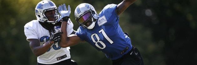 Ethan L. Davis banner