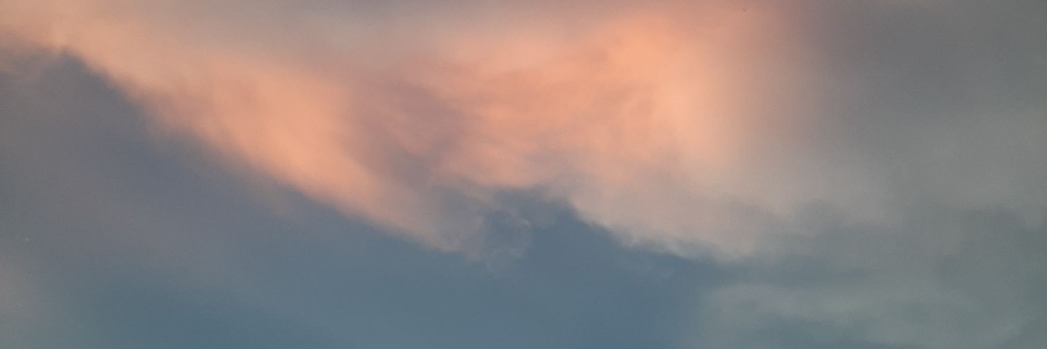 alishasfr's profile banner image