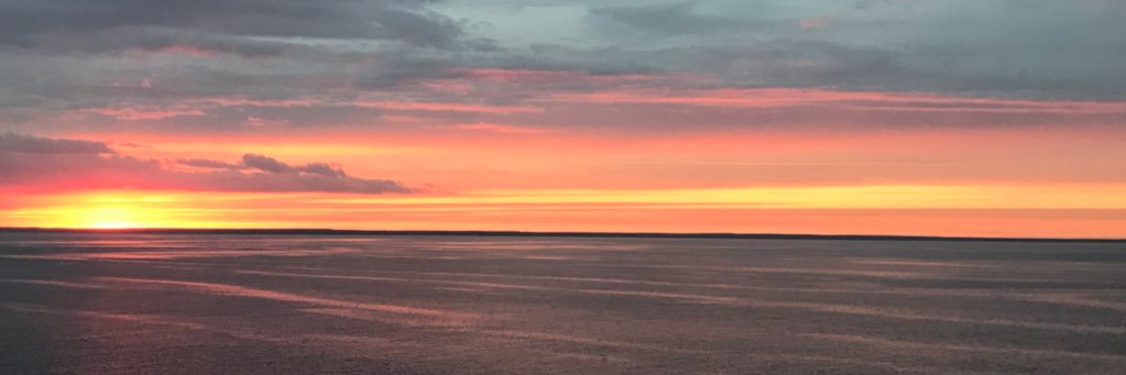 IdaEs's profile banner image