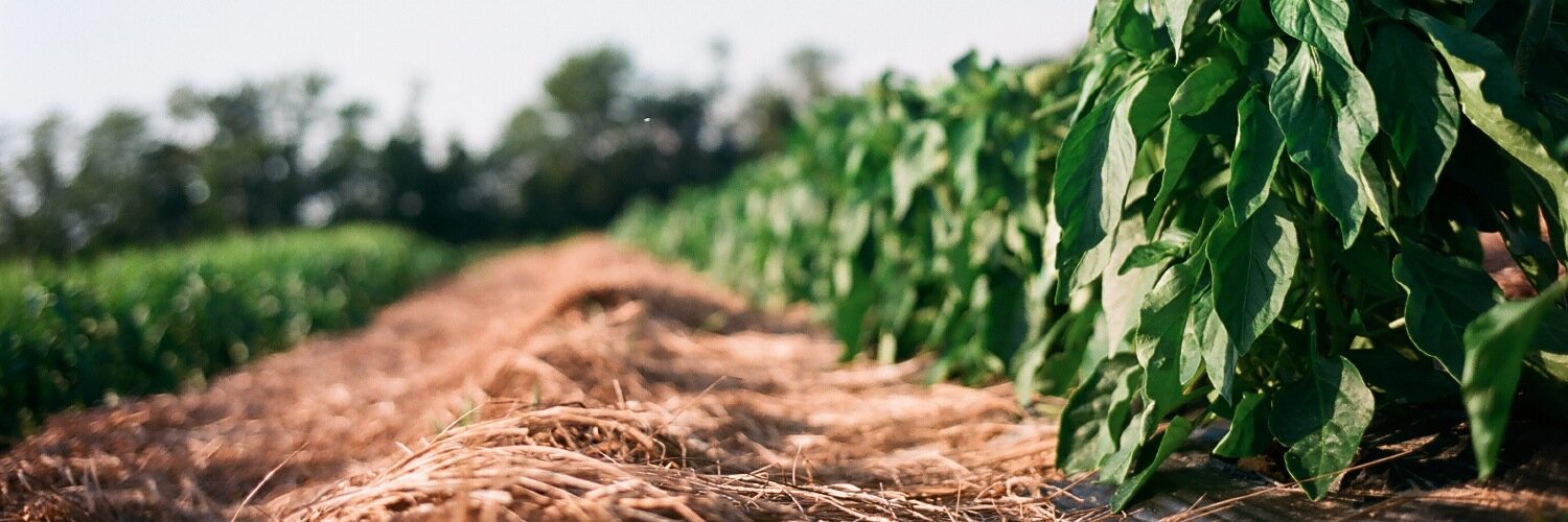 GreeneaseApp's profile banner image
