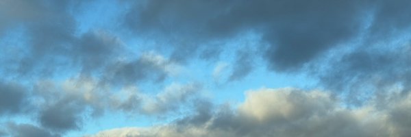 faiAI0 Profile Banner