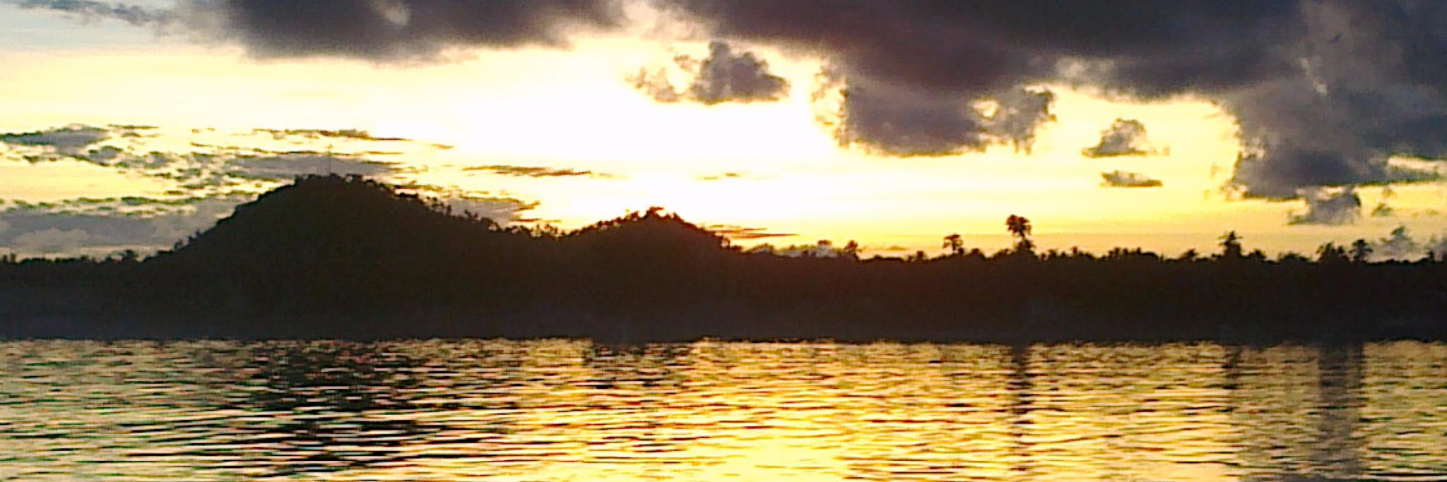 WSPranawa's profile banner image