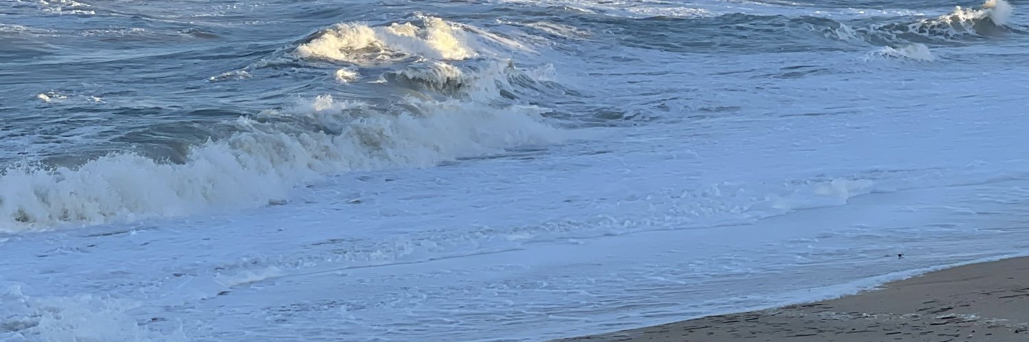 american by heart banner