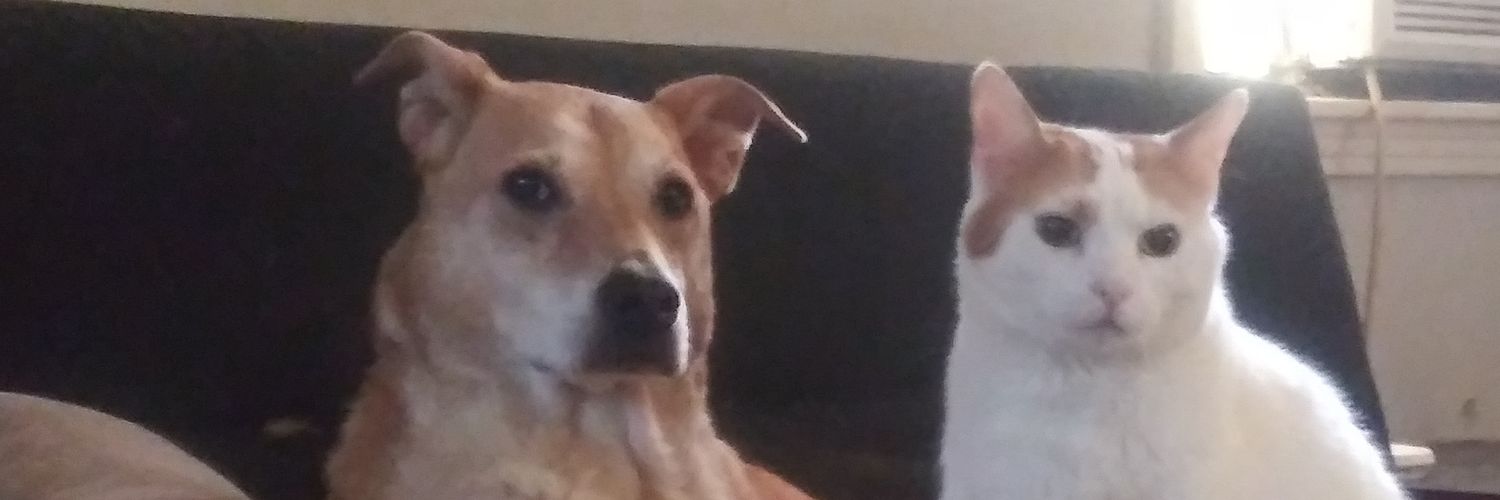 thejonjohn's profile banner image