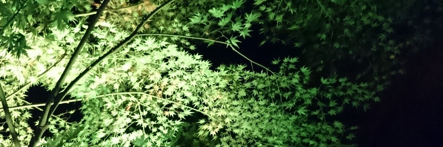 minaseBSR's profile banner image