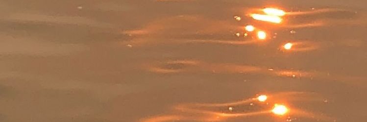 yndhira 🍊 banner